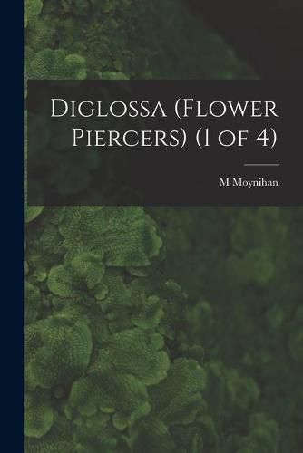 Diglossa (Flower Piercers) (1 of 4)