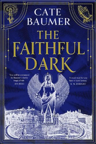 Cover image for The Faithful Dark