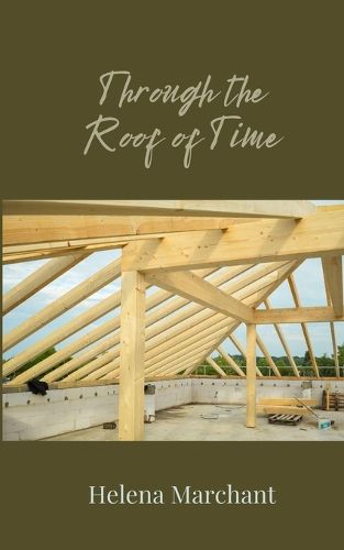 Cover image for Through the Roof of Time