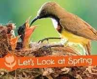 Cover image for Let's Look at Spring