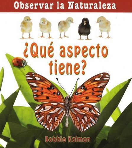 Cover image for Que Aspecto Tiene?