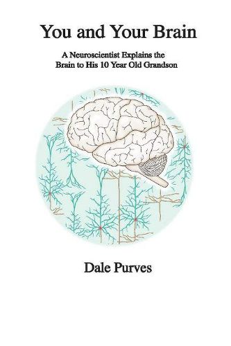 Cover image for You and Your Brain: A Neuroscientist Explains the Brain to His 10 Year Old Grandson