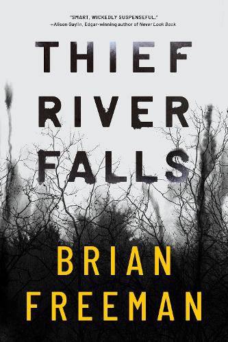 Cover image for Thief River Falls