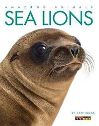 Cover image for Amazing Animals: Sea Lions