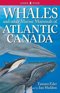 Cover image for Whales and Other Marine Mammals of the East Coast