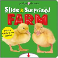 Cover image for Slide & Surprise! Farm