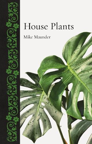 Cover image for House Plants