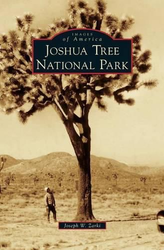 Cover image for Joshua Tree National Park