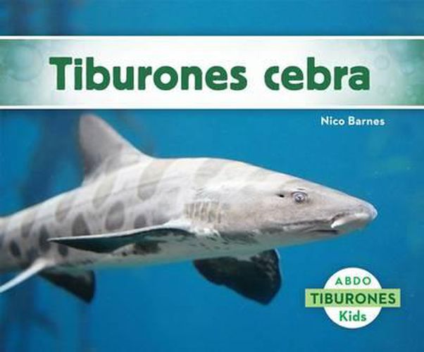 Tiburones Cebra