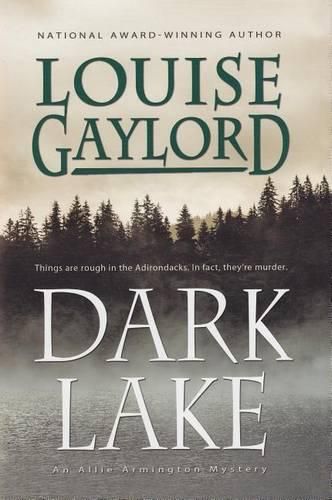 Cover image for Dark Lake