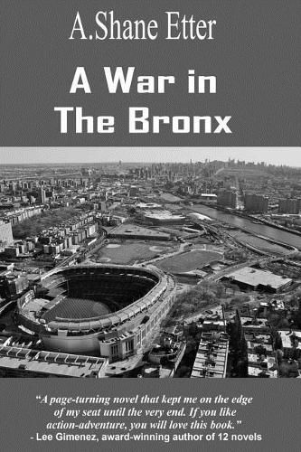 Cover image for A War in the Bronx