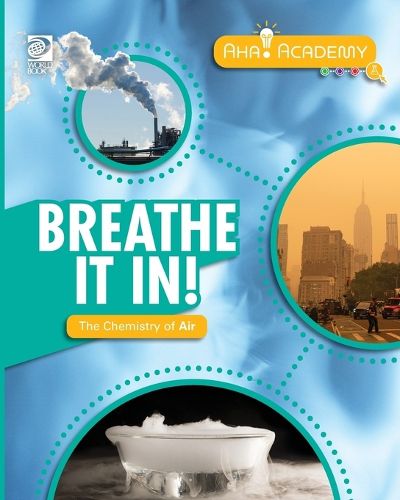 Cover image for Breathe It In! The Chemistry of Air