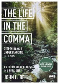 Cover image for The Life in the Comma: Deepening Our Understanding of Jesus