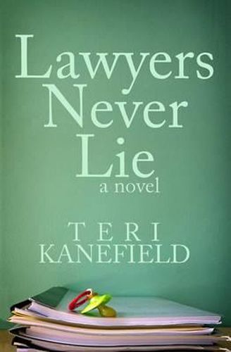 Cover image for Lawyers Never Lie