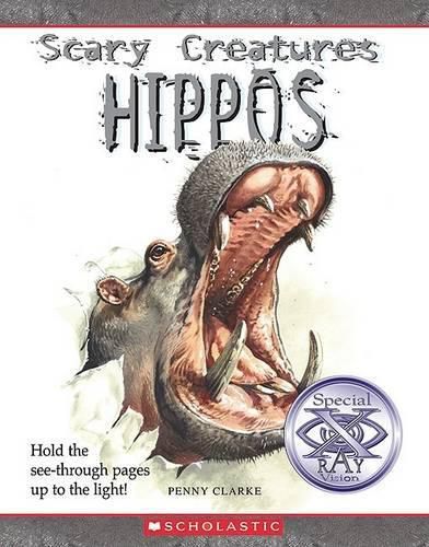 Cover image for Hippos