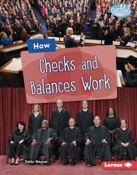 Cover image for How Checks and Balances Work