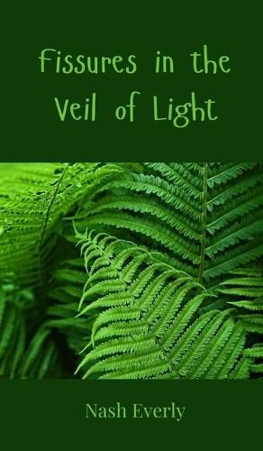 Cover image for Fissures in the Veil of Light