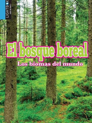 Los Bosques Boreales