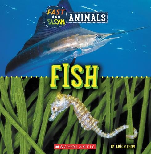 Fast and Slow: Fish (Wild World)