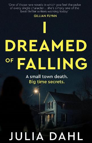 Cover image for I Dreamed of Falling