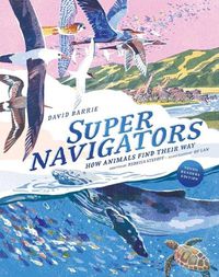 Cover image for Supernavigators