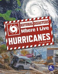 Cover image for Hurricanes