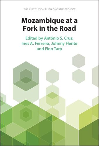 Cover image for Mozambique at a Fork in the Road