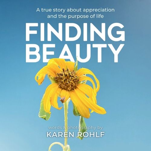 Cover image for Finding Beauty