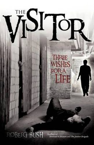 Cover image for The Visitor