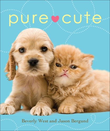 Cover image for Pure Cute