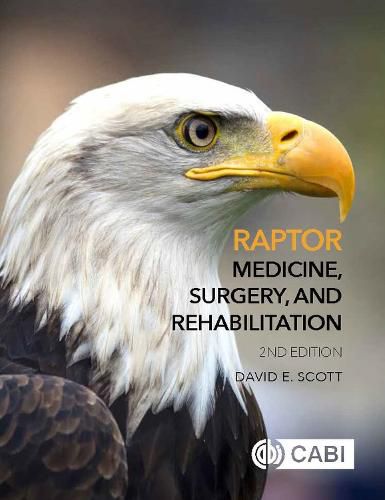 Cover image for Raptor Medicine, Surgery, and Rehabilitation