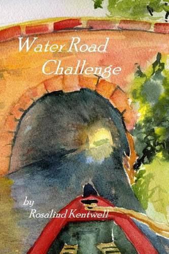 Cover image for Water Road Challenge