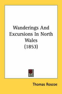 Cover image for Wanderings and Excursions in North Wales (1853)