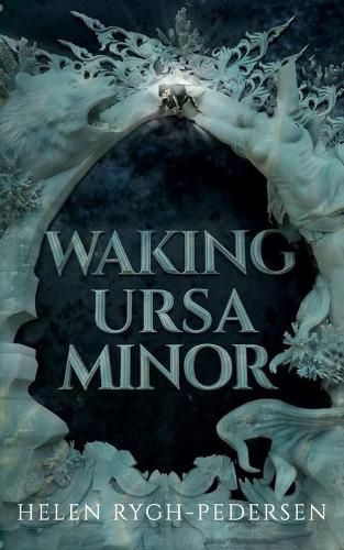 Cover image for Waking Ursa Minor