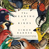 Cover image for The Meaning of Birds