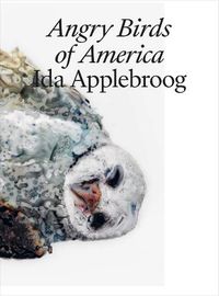 Cover image for Ida Applebroog: Angry Birds of America