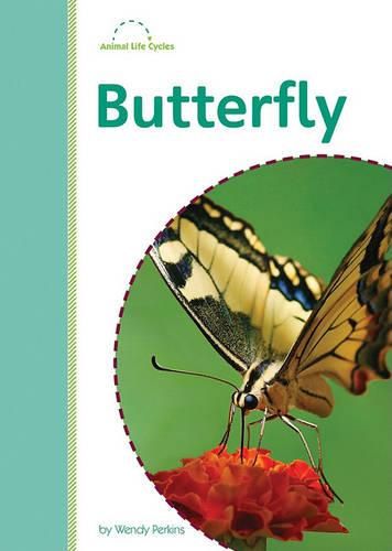 Cover image for Butterfly