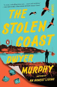 Cover image for The Stolen Coast
