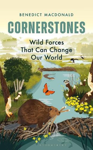 Cover image for Cornerstones: Wild forces that can change our world