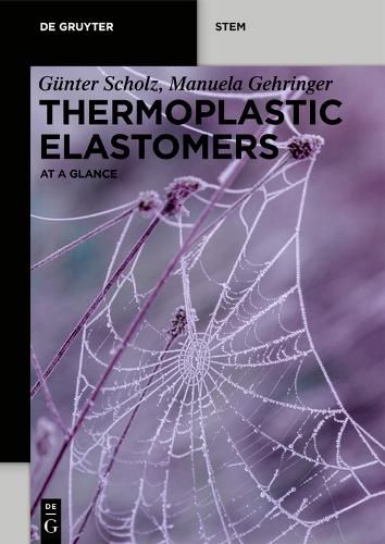 Cover image for Thermoplastic Elastomers: At a Glance