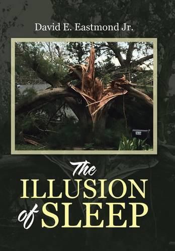 Cover image for The Illusion of Sleep