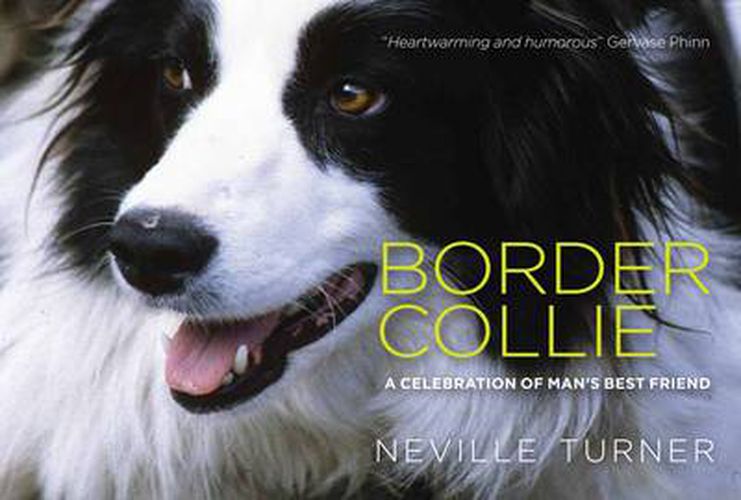 Cover image for Border Collie