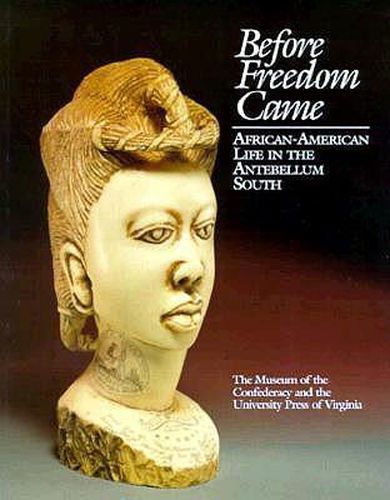 Cover image for Before Freedom Came: African-American Life in the Antebellum South