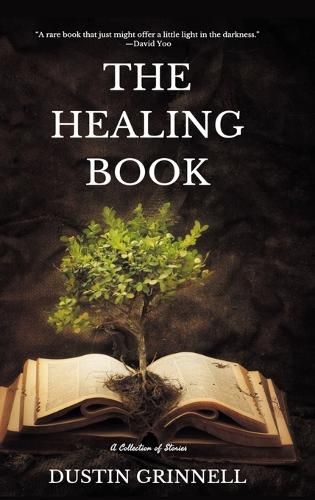 Cover image for The Healing Book