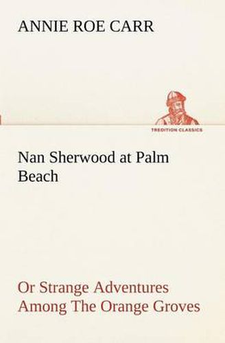 Cover image for Nan Sherwood at Palm Beach Or Strange Adventures Among The Orange Groves