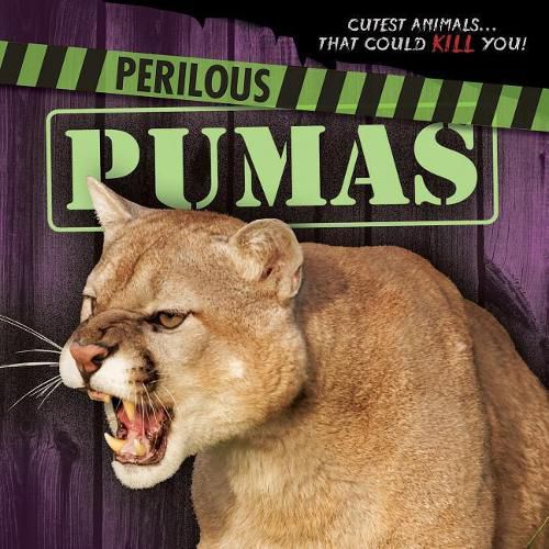 Perilous Pumas