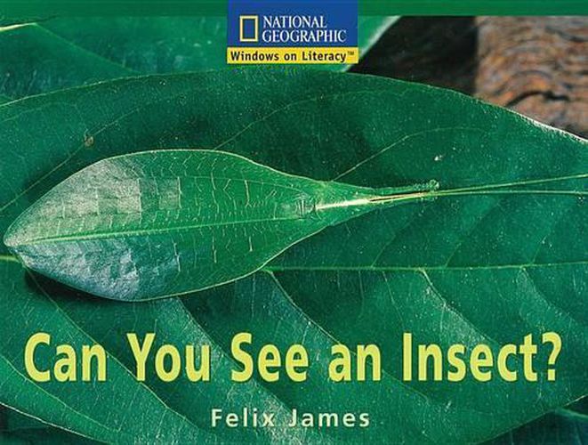 Cover image for Windows on Literacy Fluent (Science: Science Inquiry): Can You See an Insect?