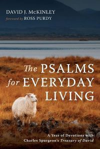 Cover image for The Psalms for Everyday Living