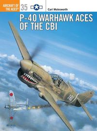 Cover image for P-40 Warhawk Aces of the CBI
