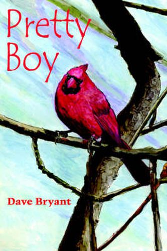 Cover image for Pretty Boy